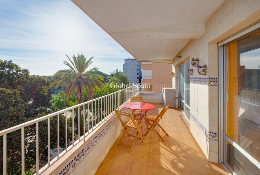 Resale - APARTMENT -
GUARDAMAR DEL SEGURA