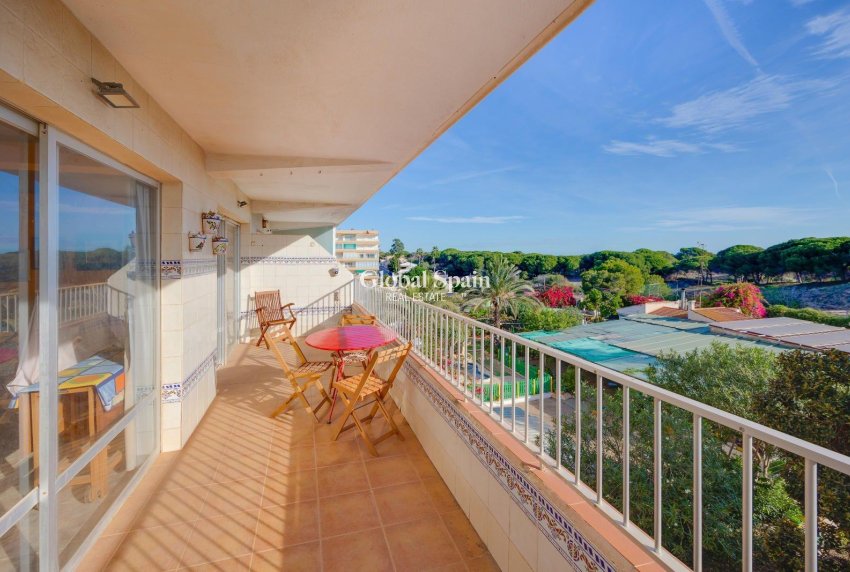 Resale - APARTMENT -
GUARDAMAR DEL SEGURA