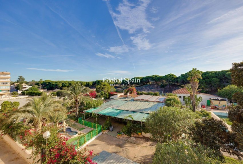 Resale - APARTMENT -
GUARDAMAR DEL SEGURA