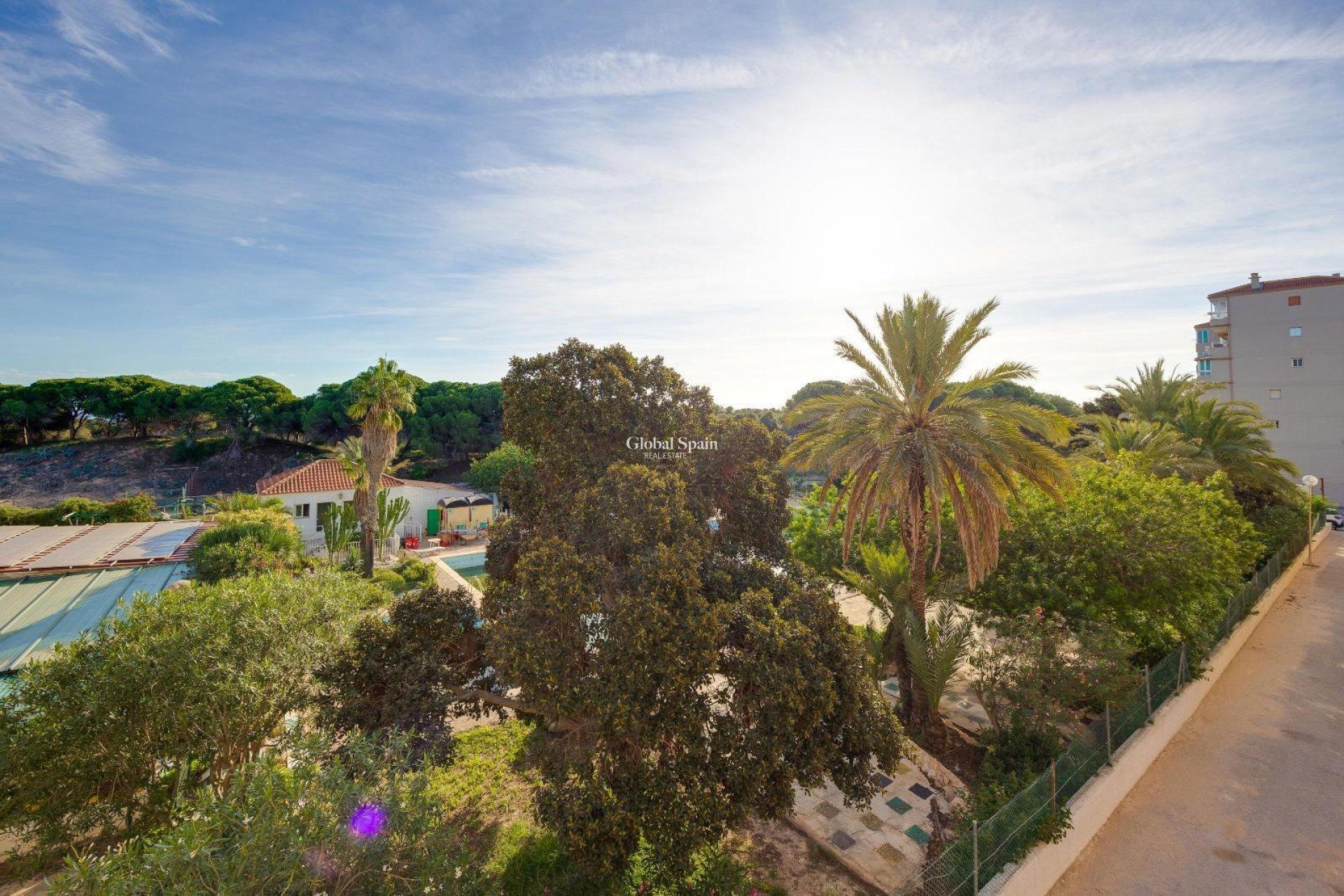 Resale - APARTMENT -
GUARDAMAR DEL SEGURA