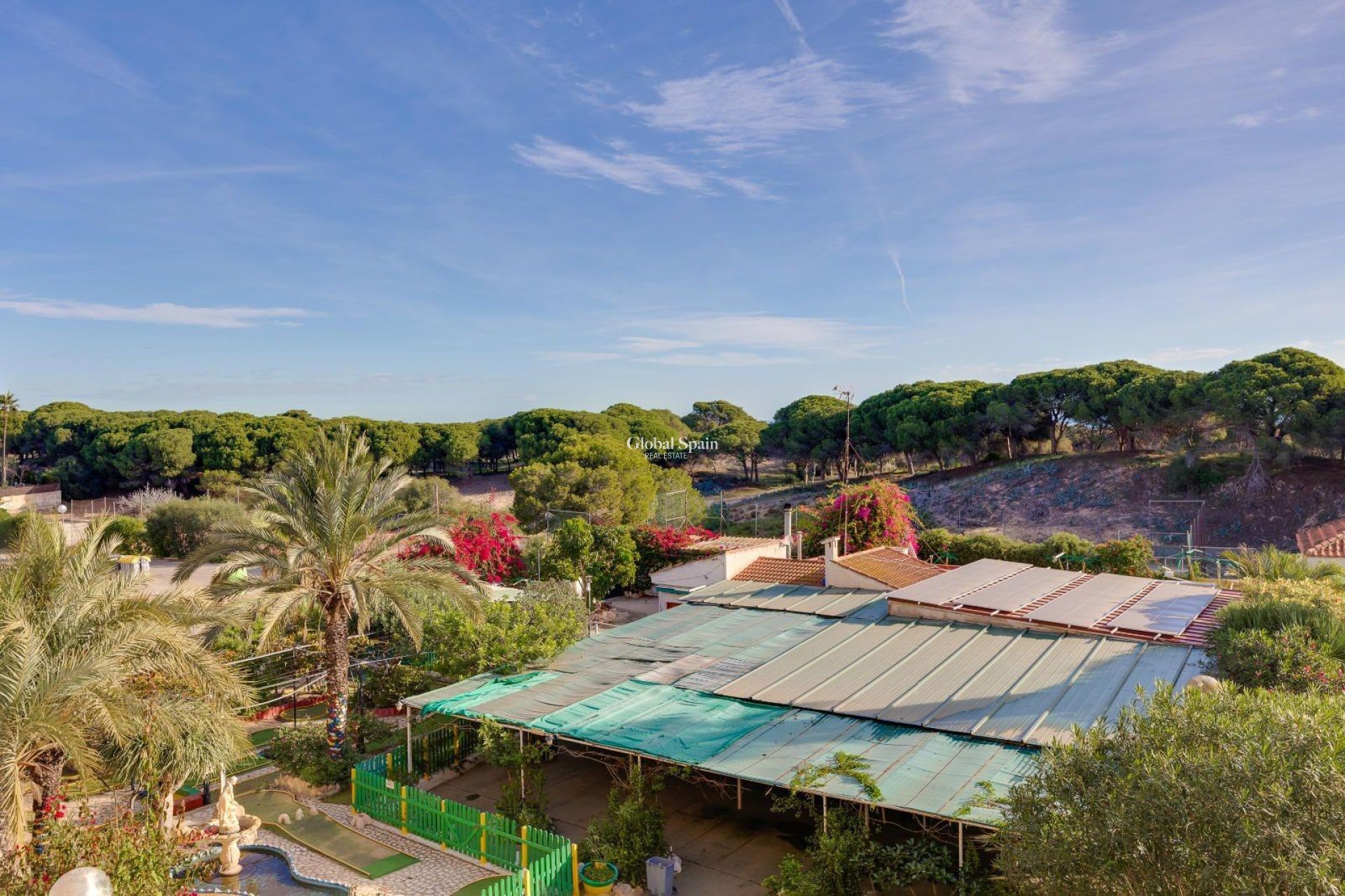 Resale - APARTMENT -
GUARDAMAR DEL SEGURA