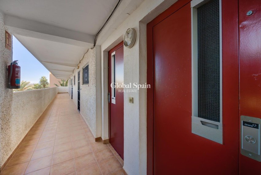 Resale - APARTMENT -
GUARDAMAR DEL SEGURA