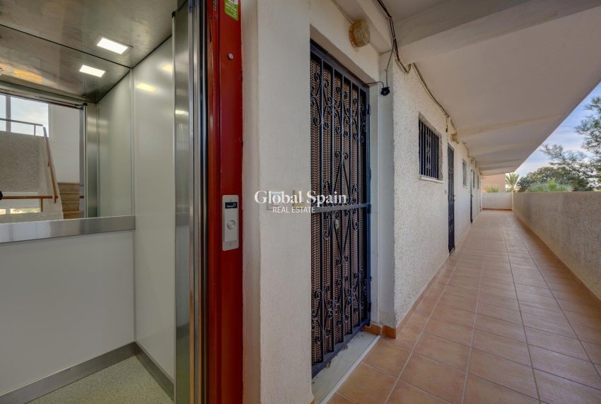 Resale - APARTMENT -
GUARDAMAR DEL SEGURA