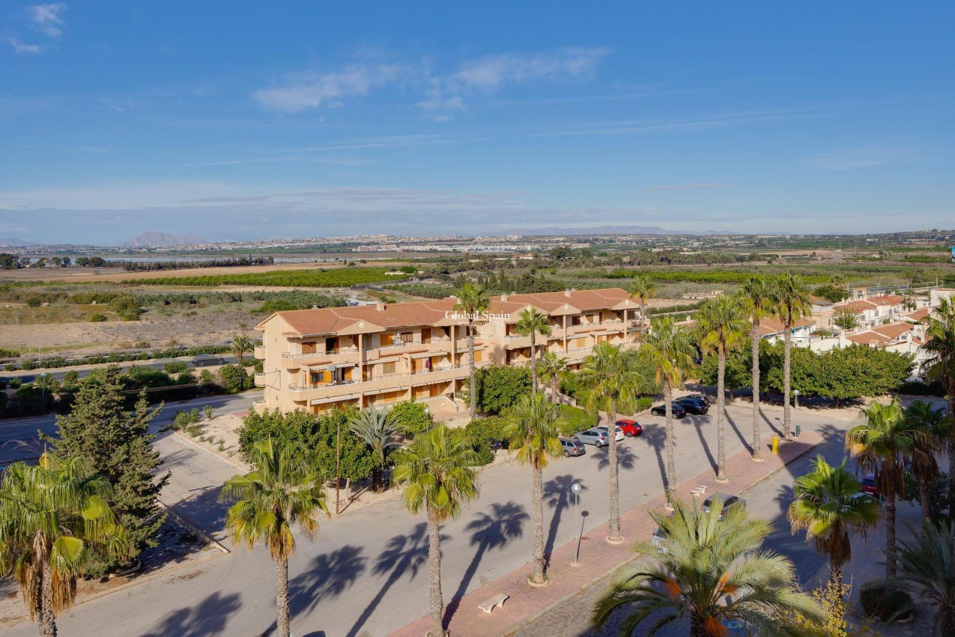 Resale - APARTMENT -
GUARDAMAR DEL SEGURA