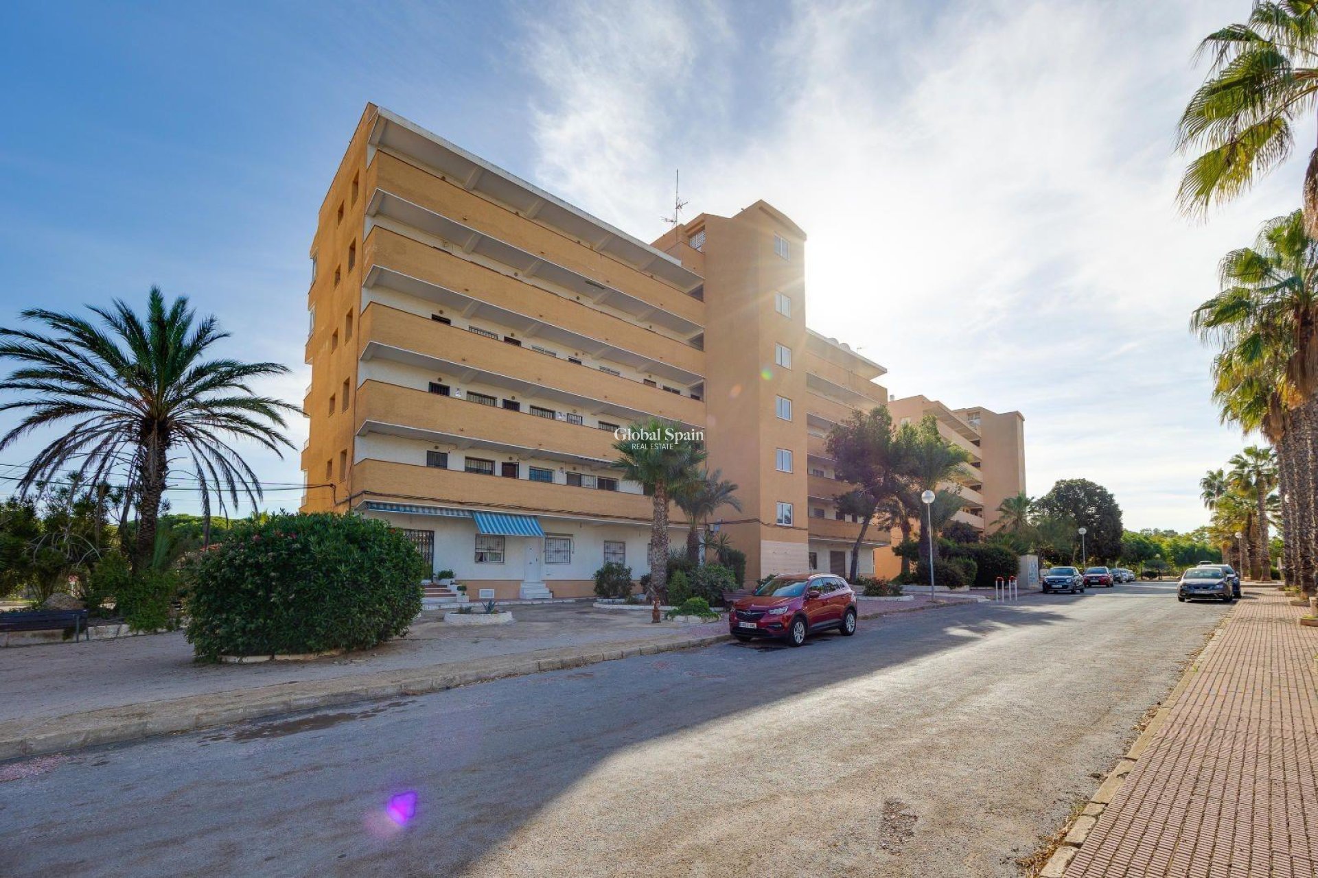Resale - APARTMENT -
GUARDAMAR DEL SEGURA