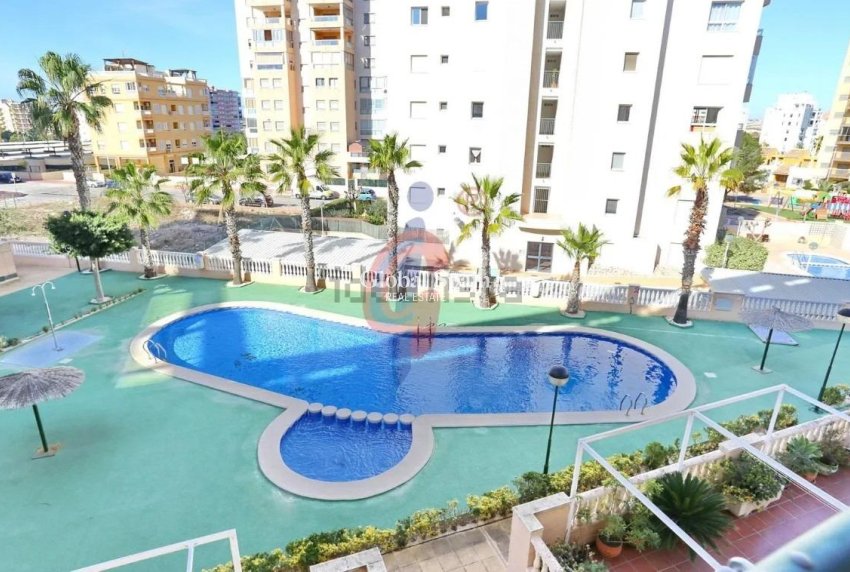Resale - APARTMENT -
GUARDAMAR DEL SEGURA