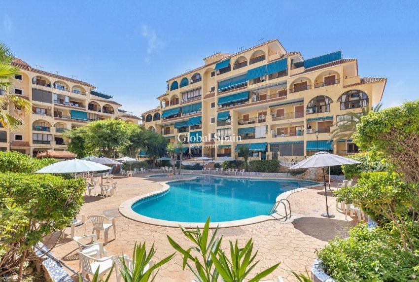Resale - Apartment -
LA MATA
