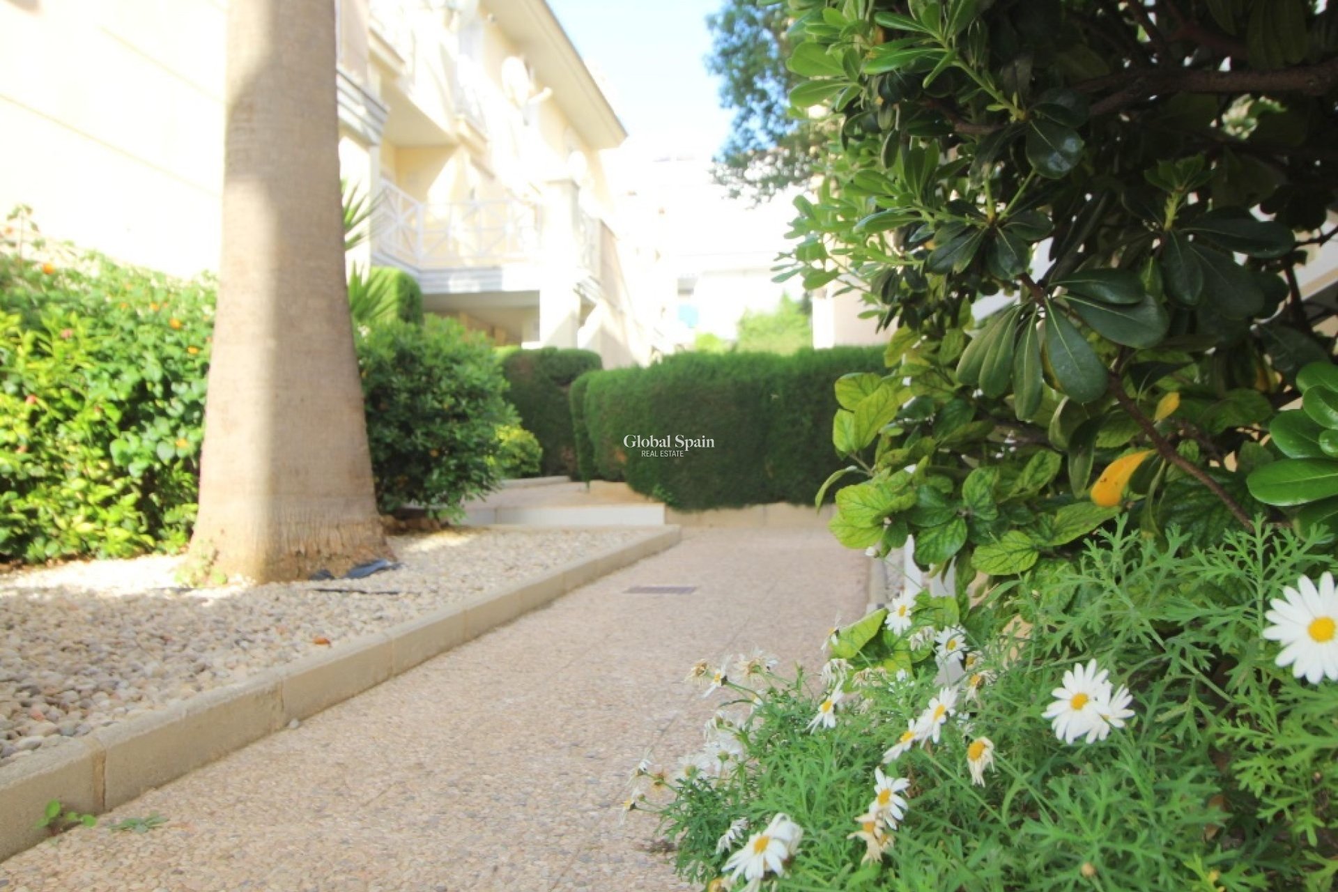 Resale - Apartment -
La Veleta