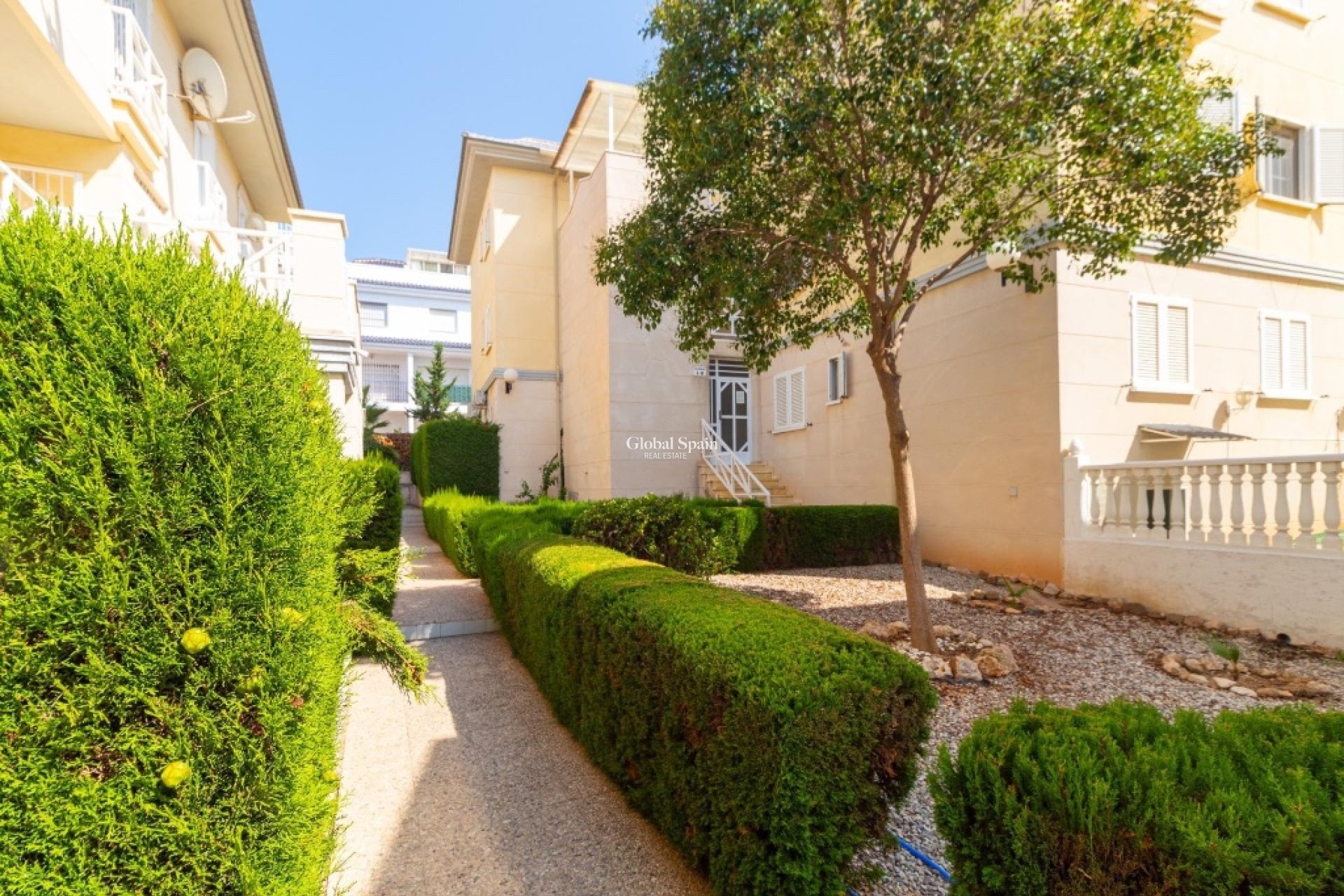 Resale - Apartment -
La Veleta