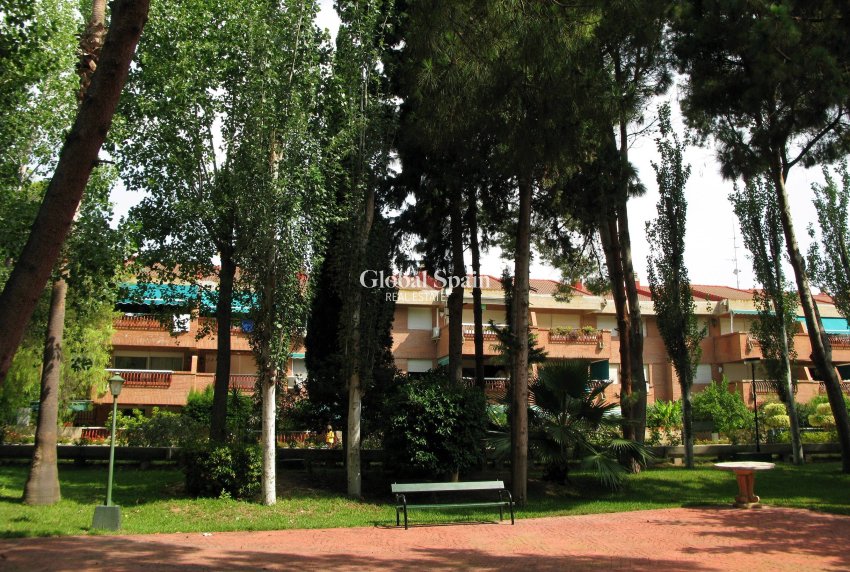 Resale - APARTMENT -
LO PAGÁN - 1Âª Linea De Playa