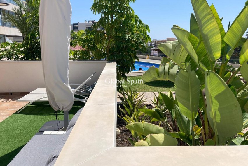 Resale - APARTMENT -
LOS DOLSES - Costa Blanca
