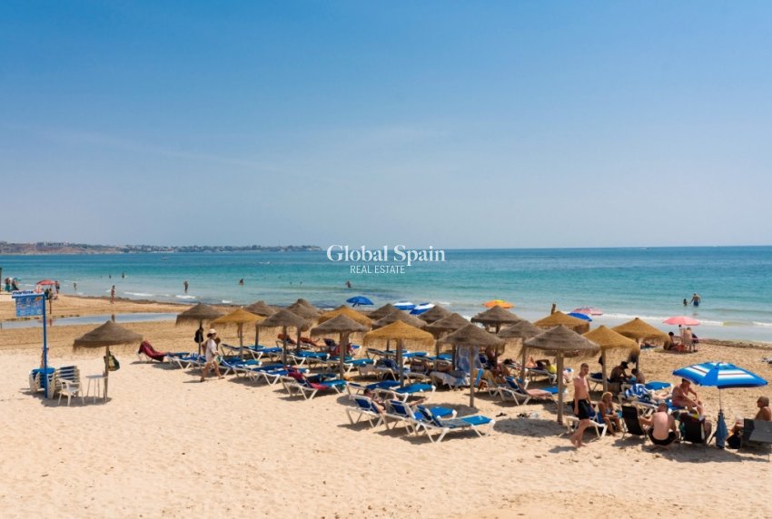 Resale - Apartment -
MIL PALMERAS 