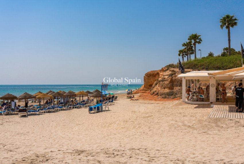 Resale - Apartment -
MIL PALMERAS 