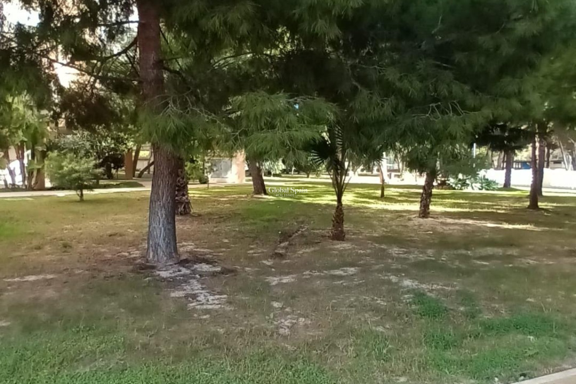 Resale - APARTMENT -
ORIHUELA COSTA - CAMPOAMOR