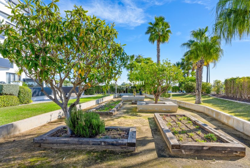 Resale - APARTMENT -
ORIHUELA COSTA - Costa Blanca