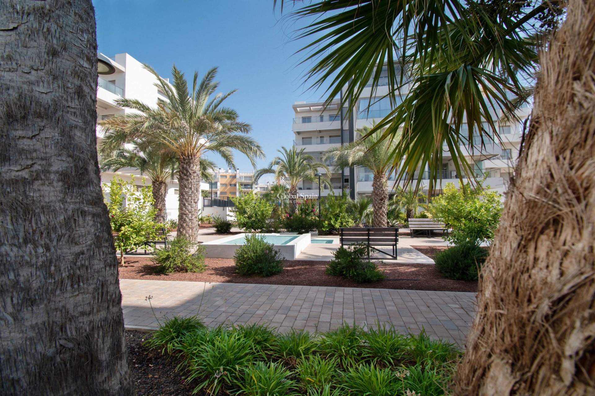 Resale - APARTMENT -
ORIHUELA COSTA - Los Dolses