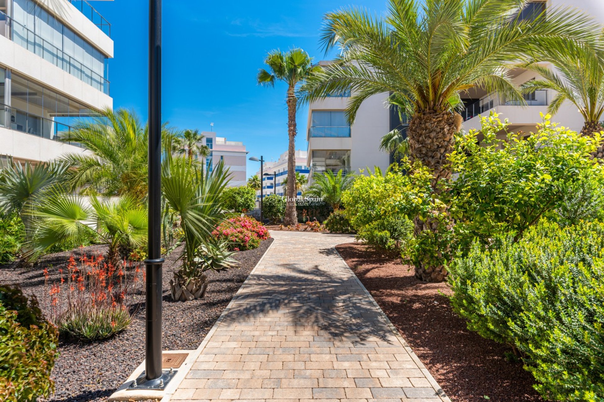 Resale - APARTMENT -
ORIHUELA COSTA - Los Dolses