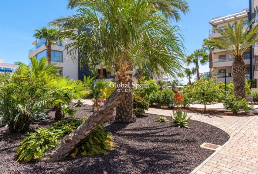 Resale - Apartment -
ORIHUELA COSTA - VILLAMARTÍN