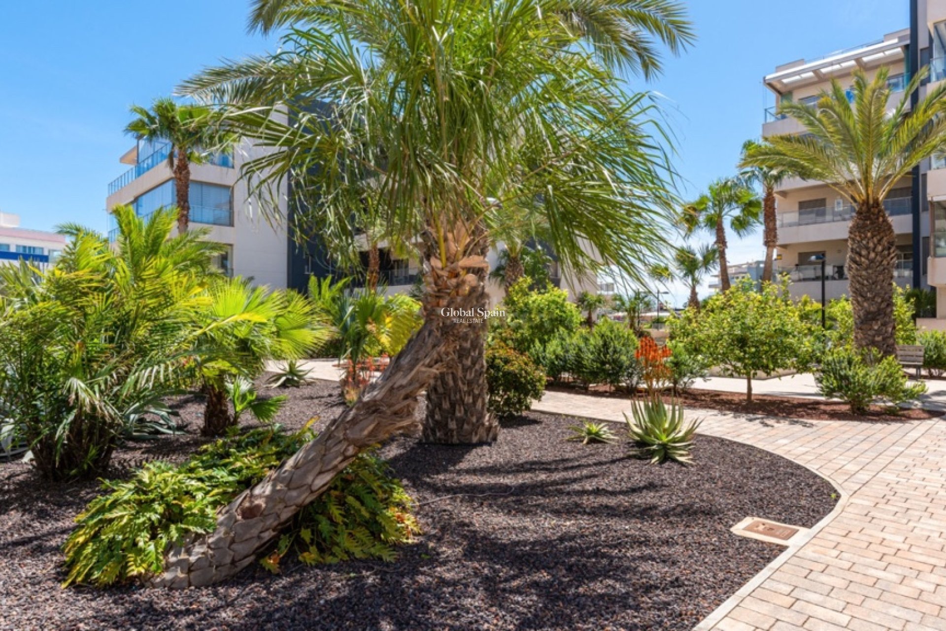 Resale - Apartment -
ORIHUELA COSTA - VILLAMARTÍN