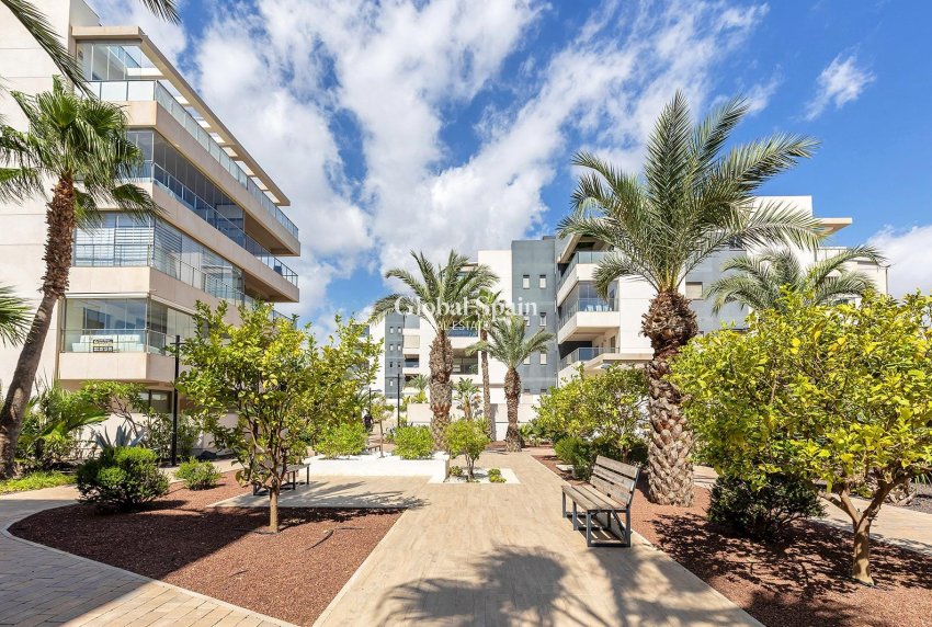 Resale - APARTMENT -
ORIHUELA COSTA - VILLAMARTÍN