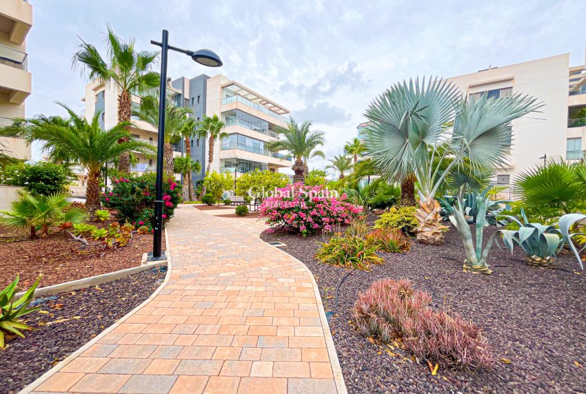 Resale - Apartment -
ORIHUELA COSTA - VILLAMARTÍN