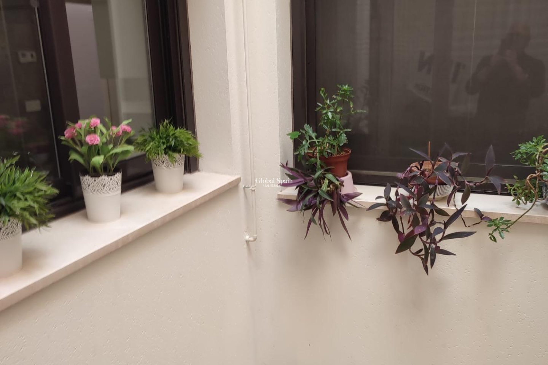 Resale - APARTMENT -
ORIHUELA - Zona Centro