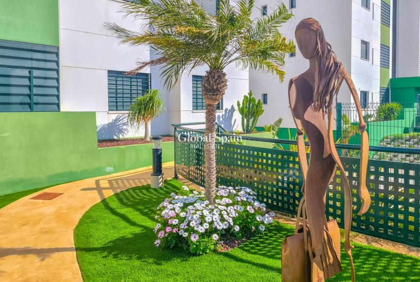 Resale - APARTMENT -
PILAR DE LA HORADADA - MIL PALMERAS 