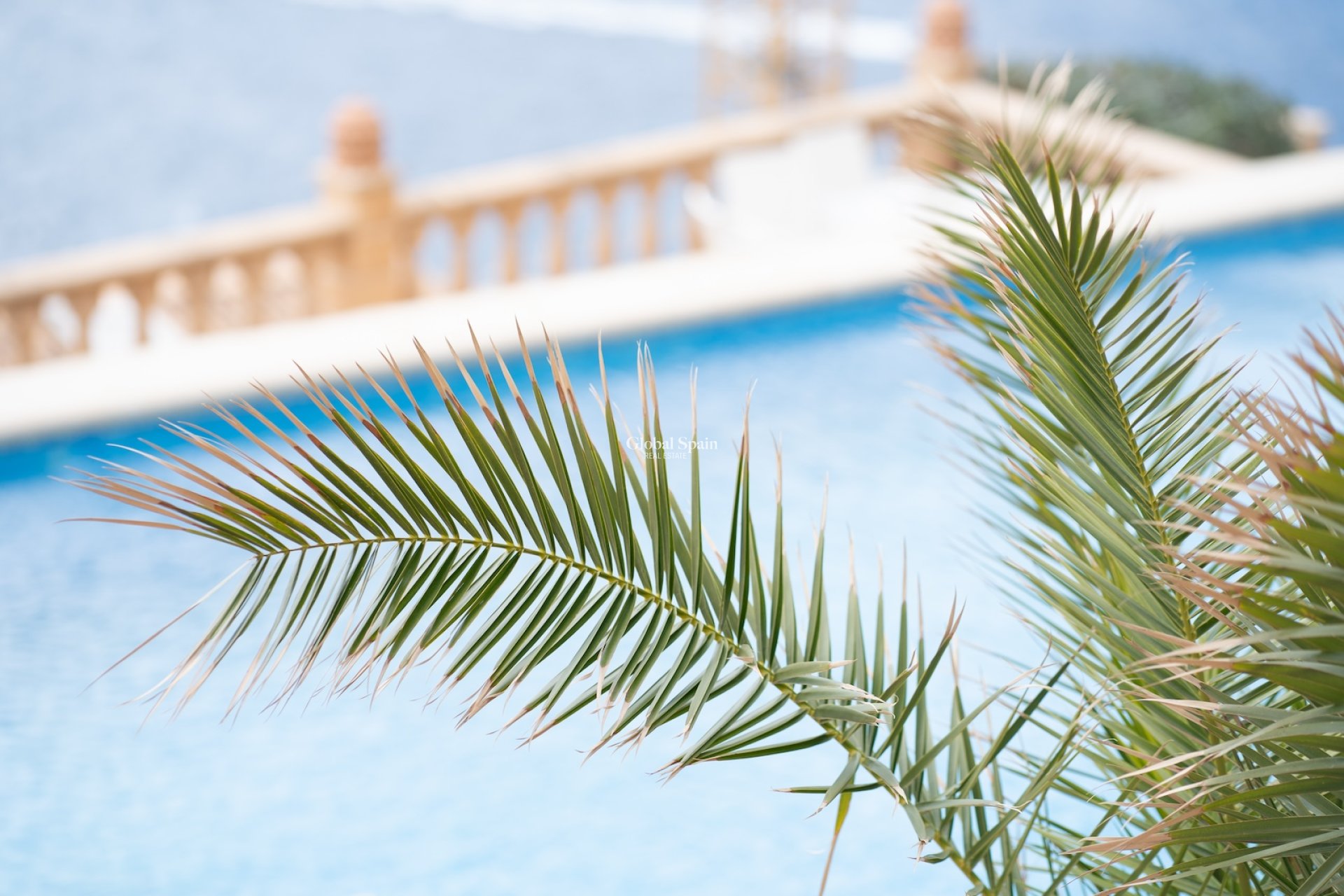 Resale - APARTMENT -
PORT D'ANDRATX - optional location detail