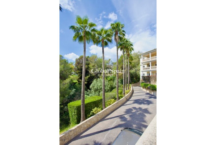 Resale - APARTMENT -
PORTALS NOUS - Calvià