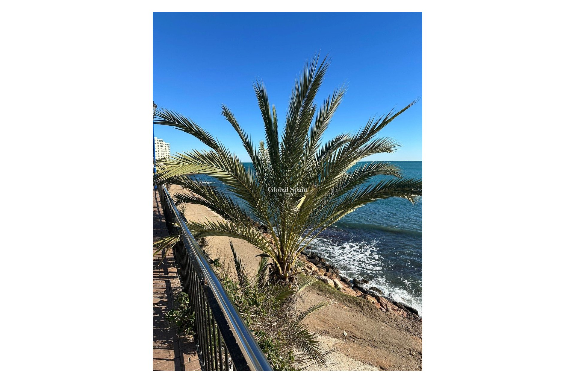 Resale - APARTMENT -
PUNTA PRIMA - Costa Blanca