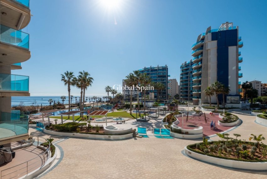 Resale - Apartment -
PUNTA PRIMA