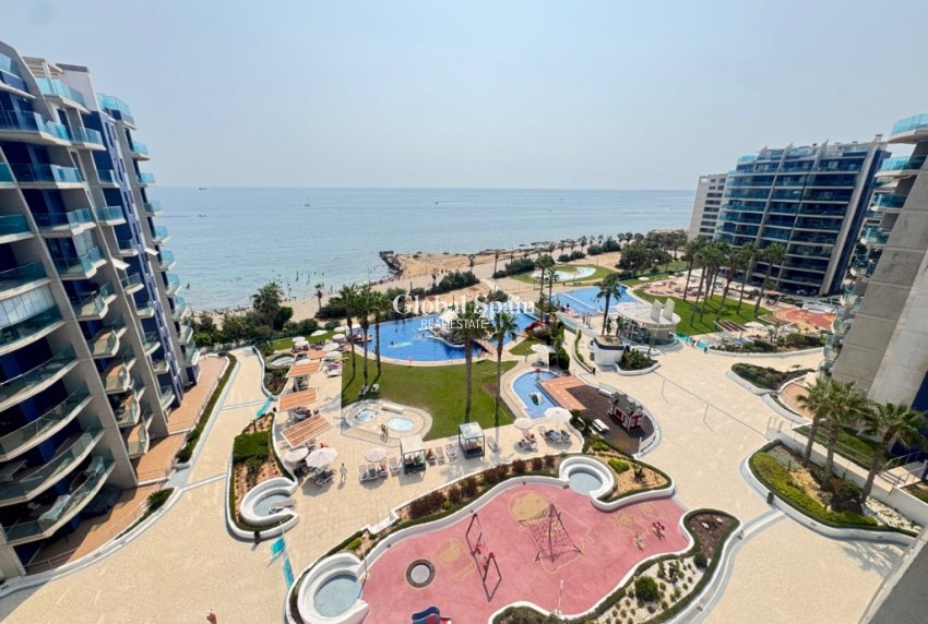 Resale - Apartment -
PUNTA PRIMA