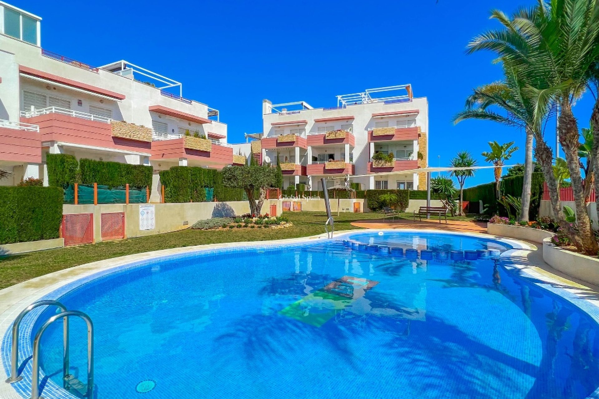Resale - Apartment -
PUNTA PRIMA