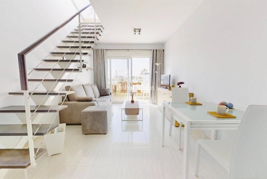 Resale - Apartment -
PUNTA PRIMA