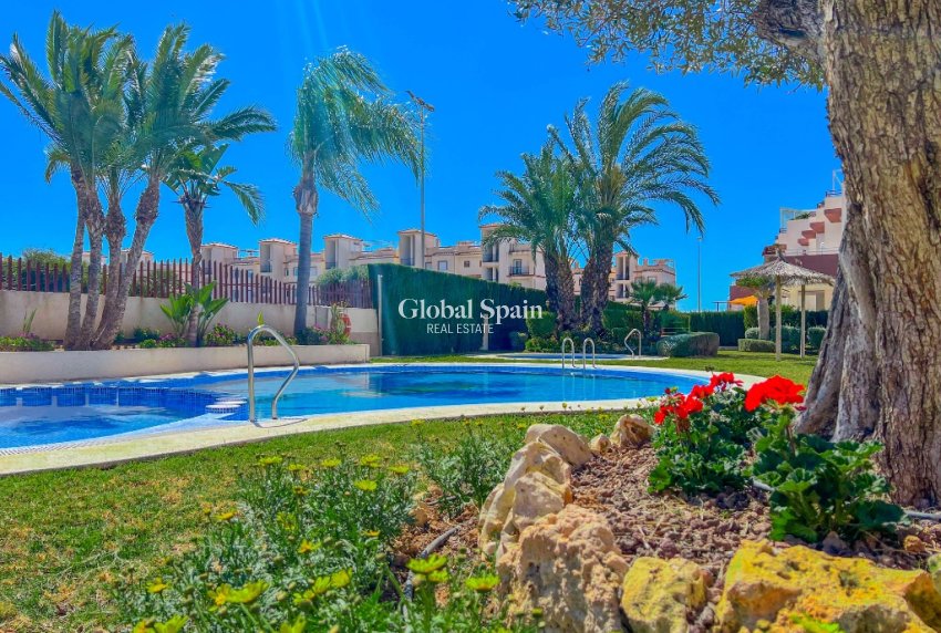 Resale - Apartment -
PUNTA PRIMA