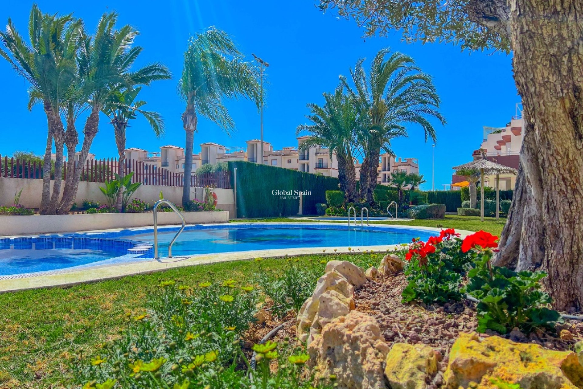 Resale - Apartment -
PUNTA PRIMA