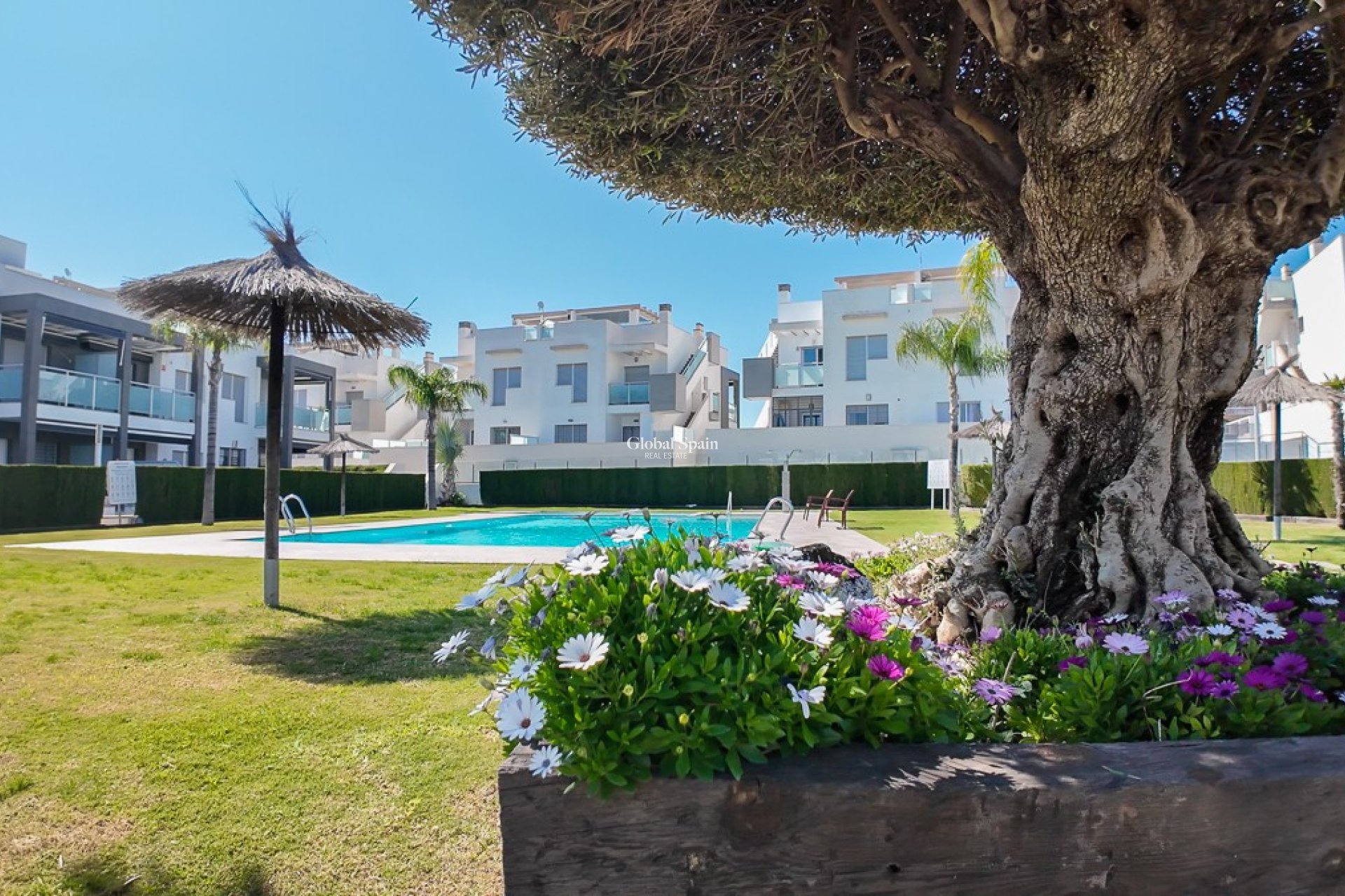 Resale - Apartment -
PUNTA PRIMA