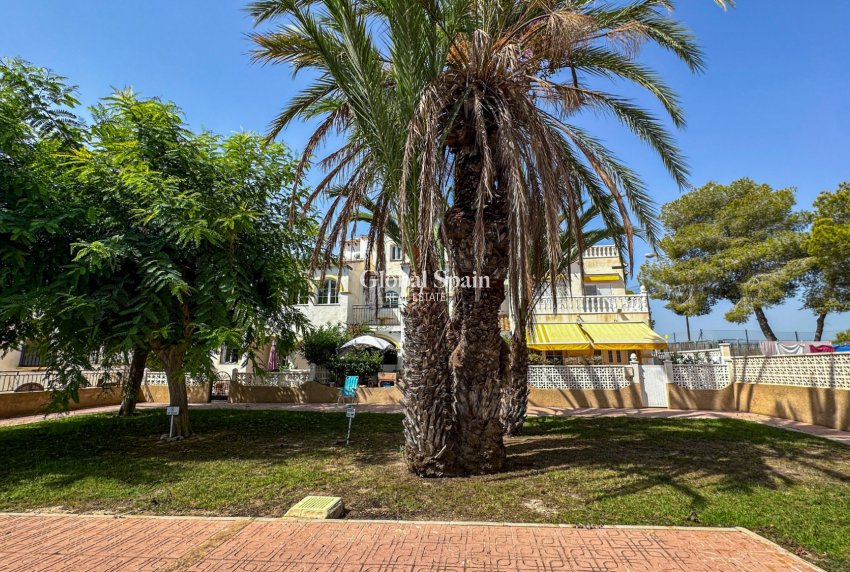 Resale - APARTMENT -
SAN MIGUEL DE SALINAS - Bellavista