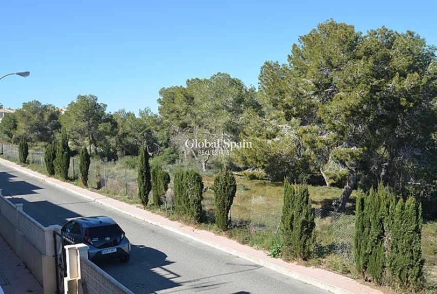 Resale - APARTMENT -
SAN MIGUEL DE SALINAS - Costa Blanca
