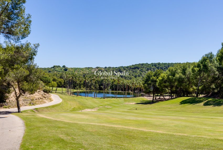 Resale - APARTMENT -
SAN MIGUEL DE SALINAS - Inland