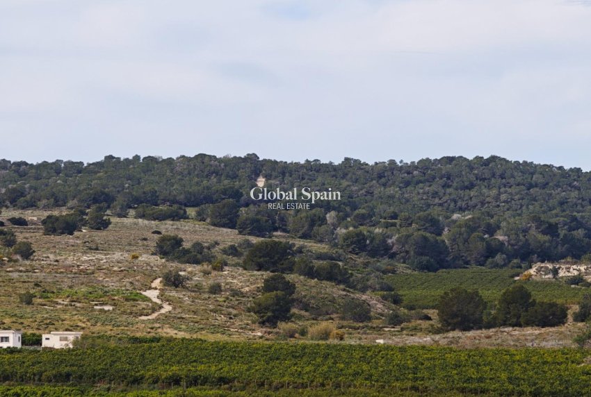 Resale - APARTMENT -
SAN MIGUEL DE SALINAS - Pueblo 9