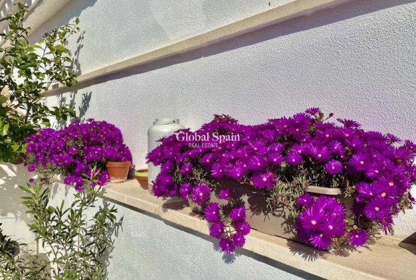 Resale - APARTMENT -
SUCINA - Inland