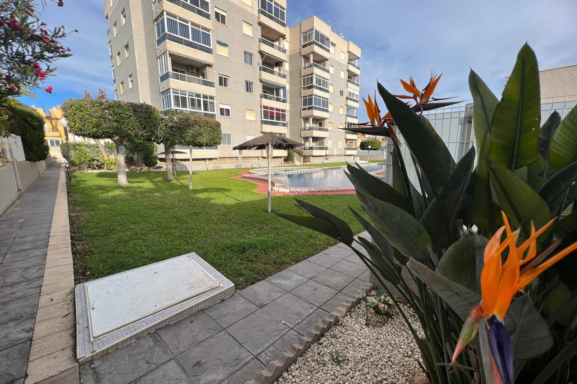 Resale - APARTMENT -
TORREVIEJA - Aguas Nuevas