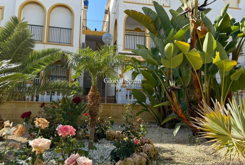 Resale - APARTMENT -
TORREVIEJA - Cañada Del Molino