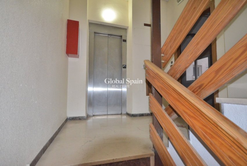 Resale - APARTMENT -
TORREVIEJA - Center