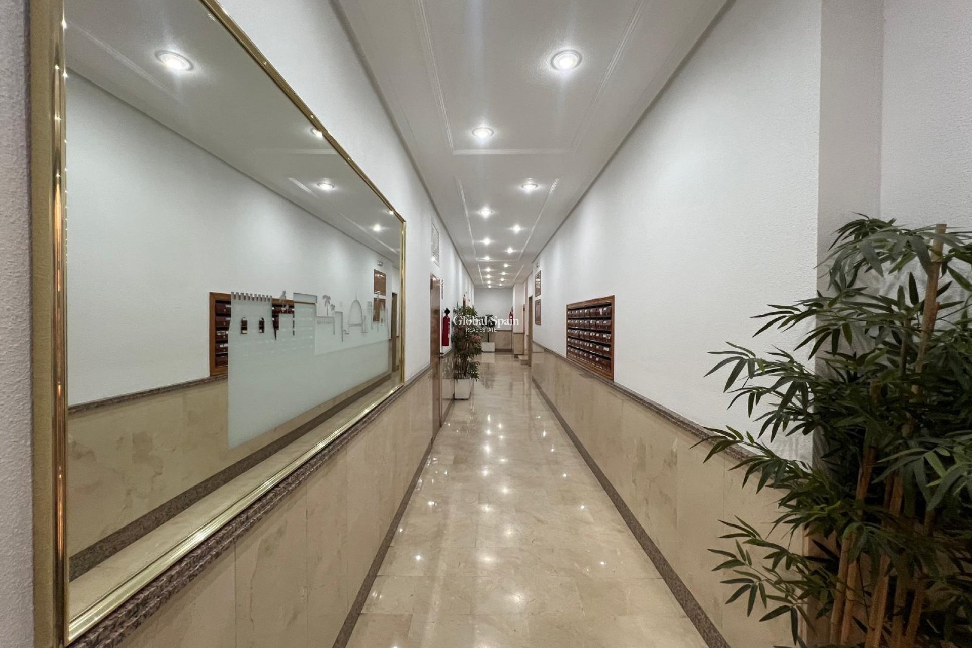 Resale - APARTMENT -
TORREVIEJA - Center