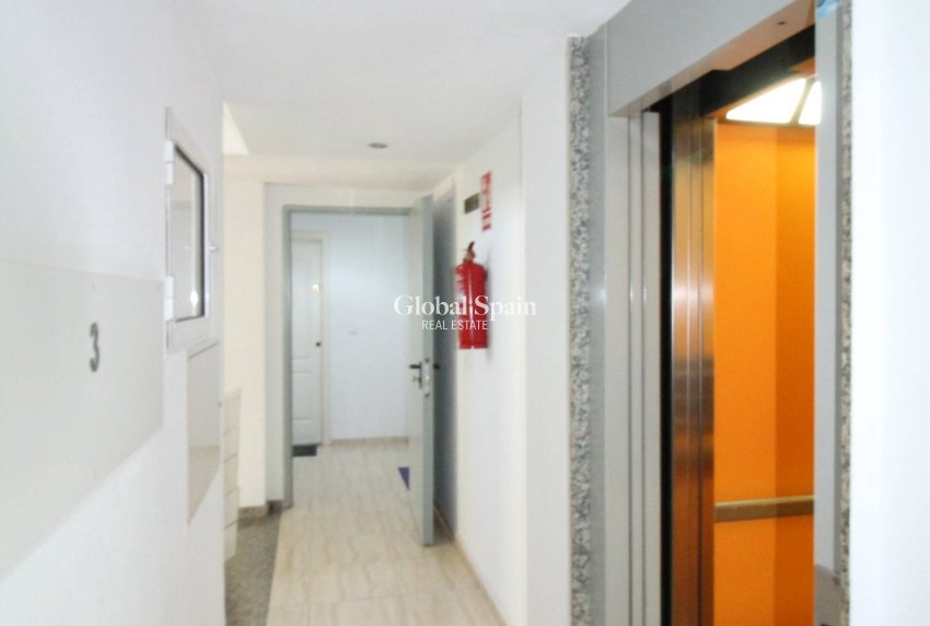 Resale - APARTMENT -
TORREVIEJA - Center