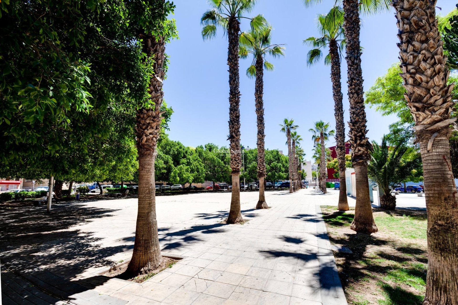 Resale - APARTMENT -
TORREVIEJA - Center