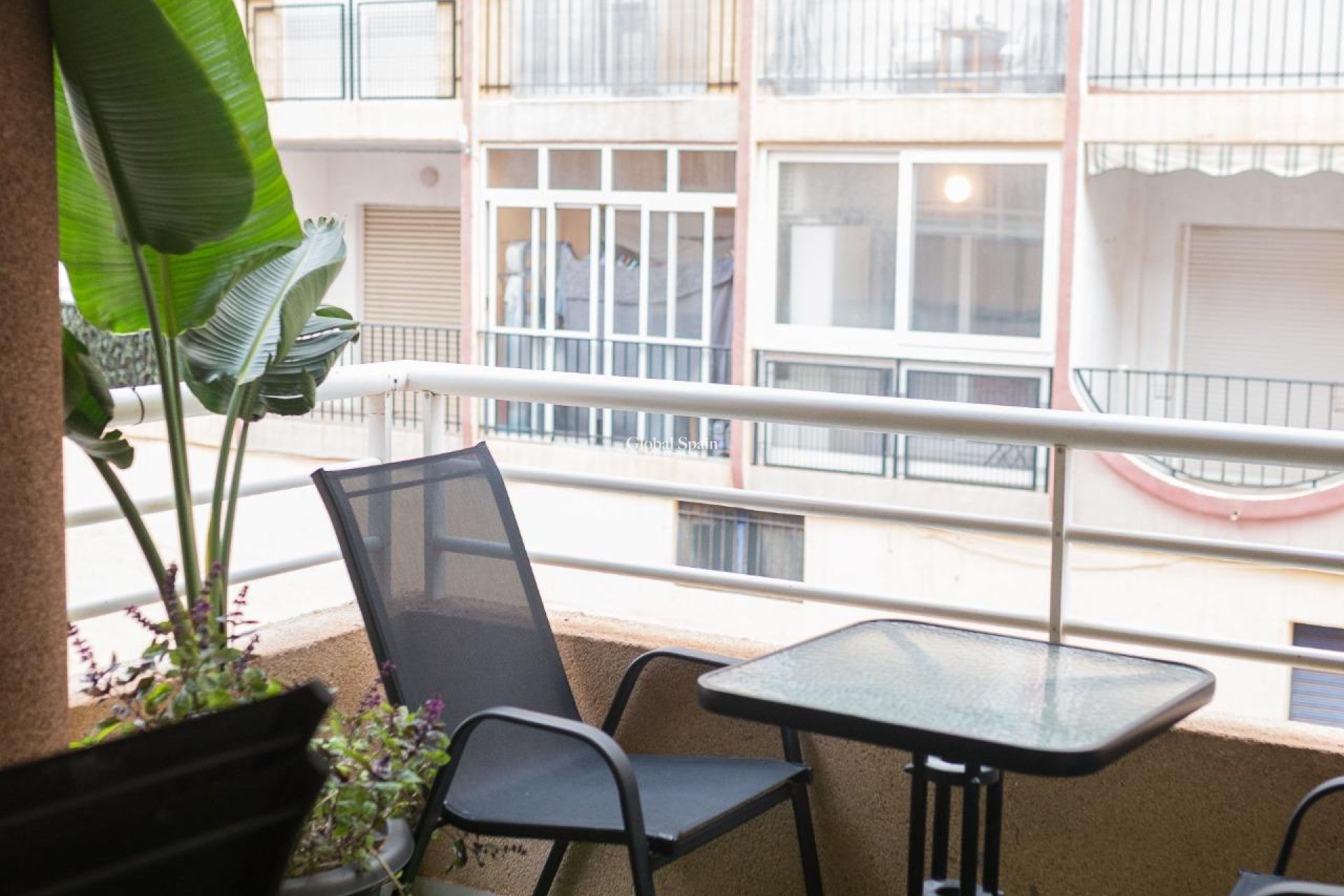 Resale - APARTMENT -
TORREVIEJA - Center