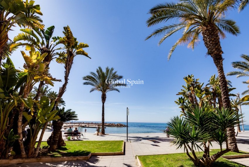 Resale - APARTMENT -
TORREVIEJA - Costa Blanca